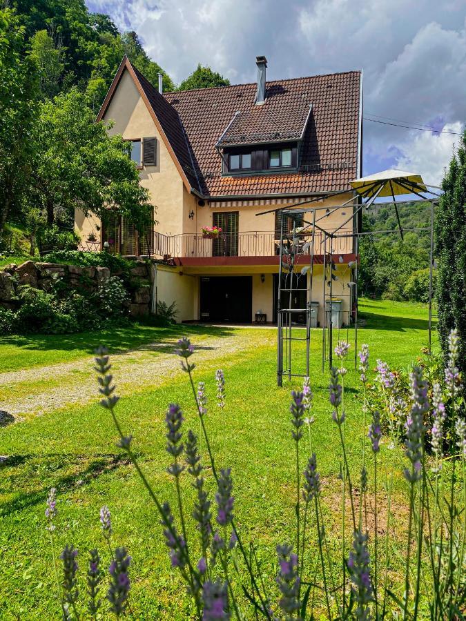 La Araucania, 2 Personnes - Wifi Rombach-le-Franc Exterior photo